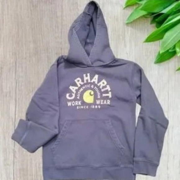 Carhartt Other - Carhartt Navy Pullover Hoodie M (10/12)